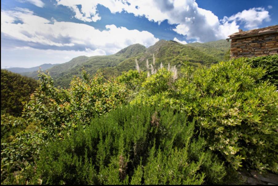 Casa Costa - Ruhe Und Natur Pur Carpasio Esterno foto